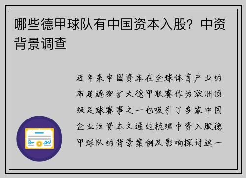 哪些德甲球队有中国资本入股？中资背景调查